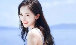 杨幂许凯爆料视频大全最新,揭秘娱乐圈幕后真相